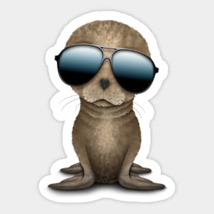 Cute Baby Sea Lion Wearing Sunglasses Sticker